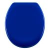 Diaqua Barbana 31166678 toilet seat with lid navy blue