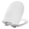 Pressalit Projecta Solid Pro 1002011-DG4925 toilet seat with lid white polygiene