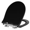 Pressalit Projecta Solid Pro 1004111-DG4925 toilet seat with lid black polygiene