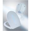 Diaqua Sidney LED 31176341 toilet seat with lid white