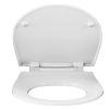 Pressalit Projecta Solid Pro 1002011-DG4925 toilet seat with lid white polygiene