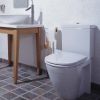 Pressalit Projecta D 172111-D28999 toilet seat with lid black polygiene