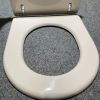 Sphinx Ravenna S8H57000030 toiletzitting met deksel pergamon