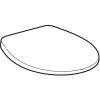 Geberit Bastia 501679001 toiletzitting met deksel wit