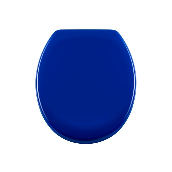 Diaqua Barbana 31166678 toilet seat with lid navy blue