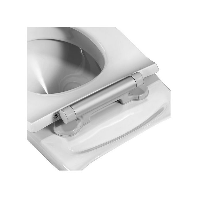Pressalit Projecta D Solid Pro 1007011-DG4925 toilet seat without lid white polygiene