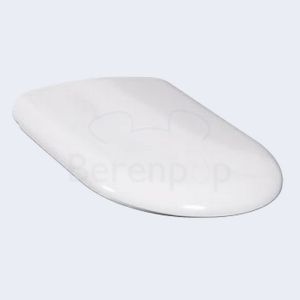 Villeroy en Boch Magnum 92204461 set vaste scharnieren chroom