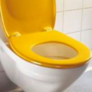 Pressalit Pinocchio (Kinderzitting) 212000-BB5999 toiletzitting met deksel wit