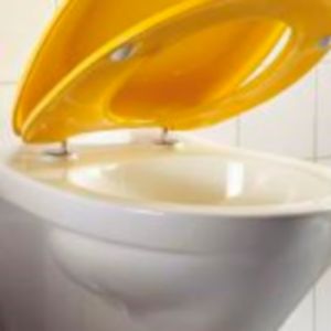 Pressalit Pinocchio (Kinderzitting) 212000-BB5999 toiletzitting met deksel wit