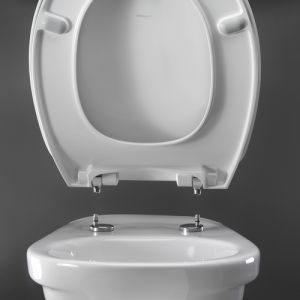 Pressalit Calmo 556000-D72999 toiletzitting met deksel wit