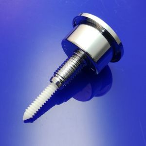 Villeroy en Boch 8L189861 drukknop chroom