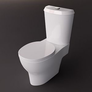 Geberit Cassini 575210000 toiletzitting met deksel wit
